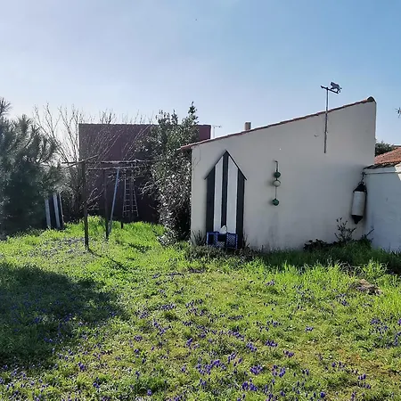 Holiday home Maison Au Bord Du Plan D'eau - 6 Pers. - Fr-1-194-460 *